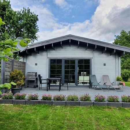 Idyllisches-Blockbohlenhaus-Mit-Eigenem-Garten-Und-Sauna-Zum-Wohlfuehlen Martensrade Екстериор снимка