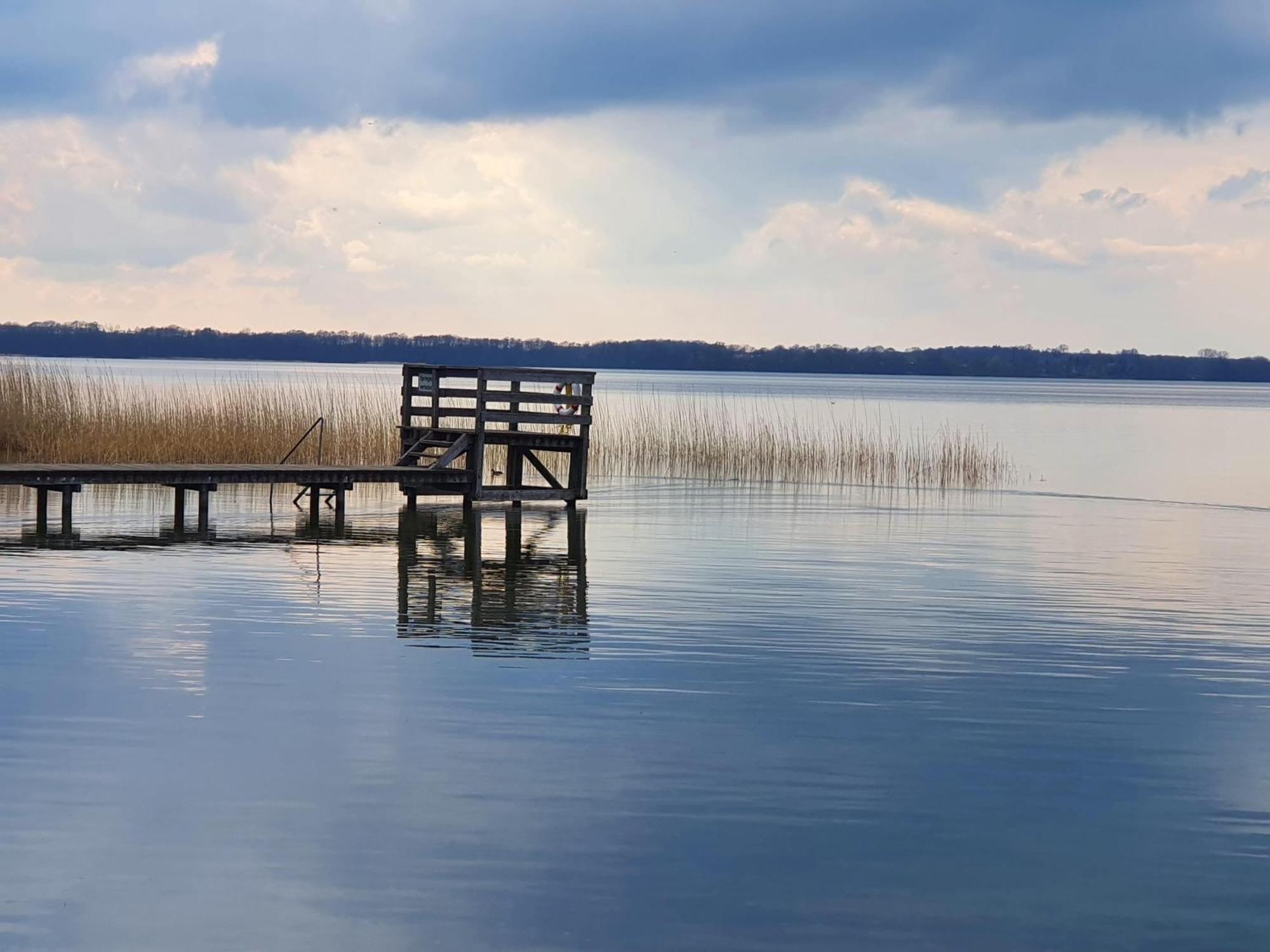 Idyllisches-Blockbohlenhaus-Mit-Eigenem-Garten-Und-Sauna-Zum-Wohlfuehlen Martensrade Екстериор снимка